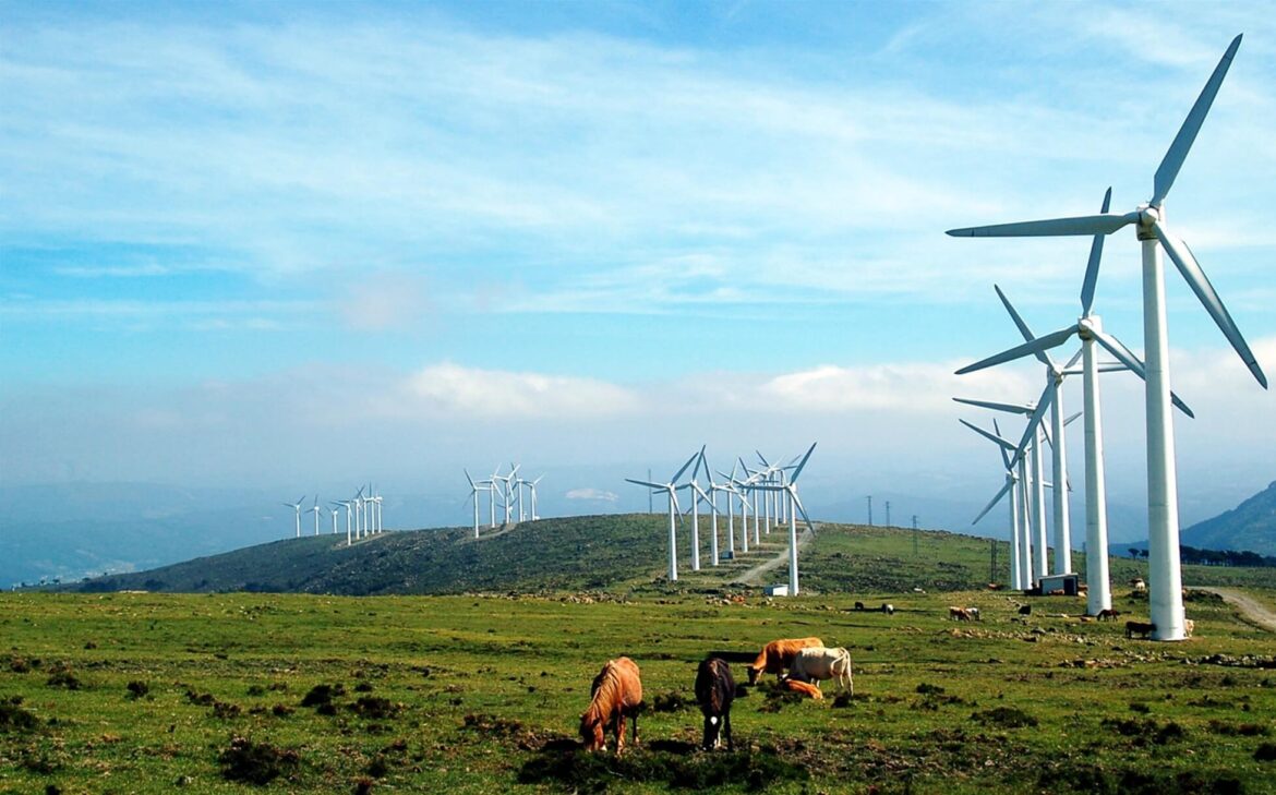 The Power of Renewable Energy: Why You Should Consider Solar or Wind Power